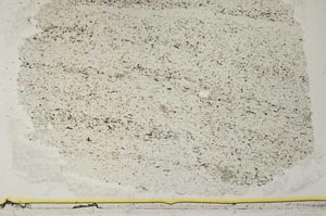 Plane Polarized, S36781