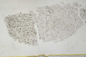 Plane Polarized, S36793