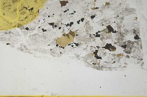 Plane Polarized, S36818