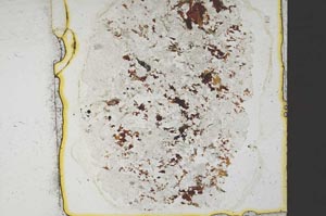 Plane Polarized, S36826