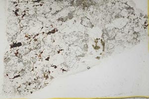 Plane Polarized, S36829