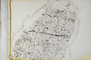 Plane Polarized, S36840