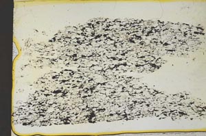 Plane Polarized, S36847