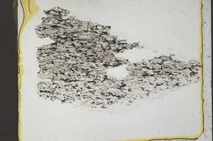 Plane Polarized, S36851