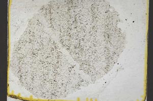 Plane Polarized, S36853