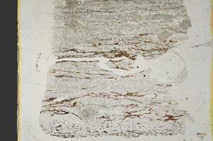 Plane Polarized, S36867