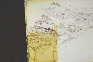 Plane Polarized, S36870