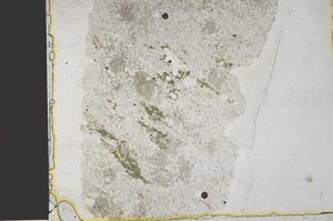 Plane Polarized, S36877