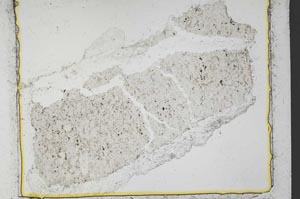 Plane Polarized, S36884