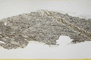 Plane Polarized, S36889