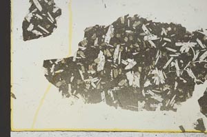 Plane Polarized, S36898