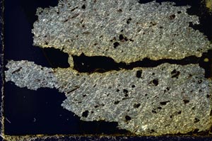 Cross Polarized, S36899