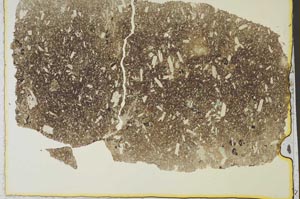 Plane Polarized, S36902