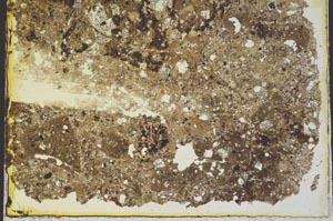 Plane Polarized, S36911