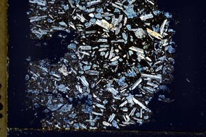 Cross Polarized, S36947