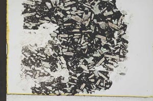 Plane Polarized, S36947