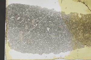 Plane Polarized, S36950