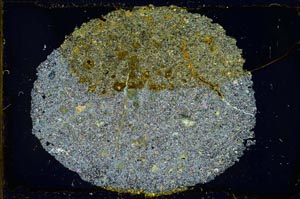 Cross Polarized, S36951