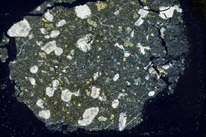 Cross Polarized, S36953