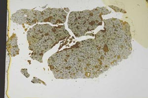 Plane Polarized, S36955