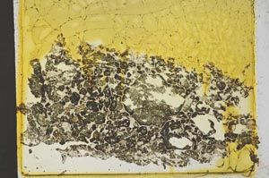 Plane Polarized, S36966