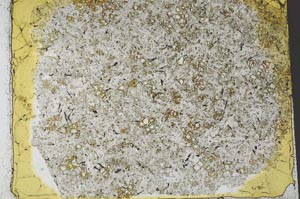 Plane Polarized, S36970