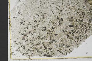 Plane Polarized, S36972