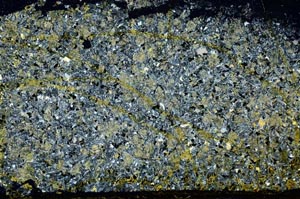 Cross Polarized, S37010