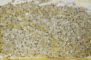 Plane Polarized, S37010