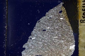 Cross Polarized, S37018