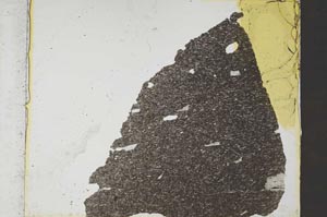 Plane Polarized, S37018