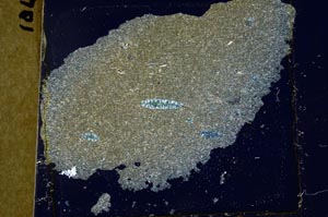 Cross Polarized, S37019