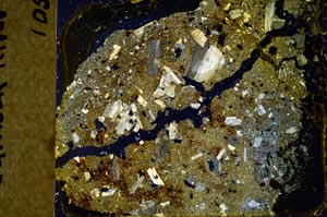 Cross Polarized, S37020