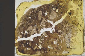 Plane Polarized, S37020