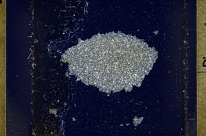 Cross Polarized, S37021