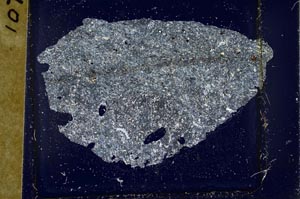 Cross Polarized, S37022