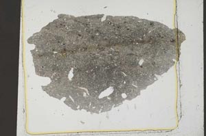 Plane Polarized, S37022