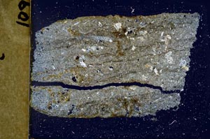 Cross Polarized, S37024