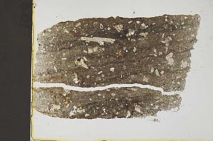 Plane Polarized, S37024