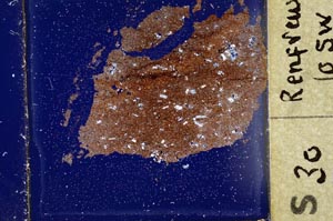 Cross Polarized, S37025