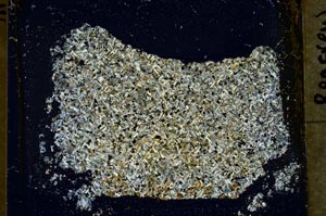 Cross Polarized, S37026