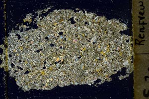 Cross Polarized, S37028