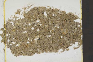 Plane Polarized, S37028