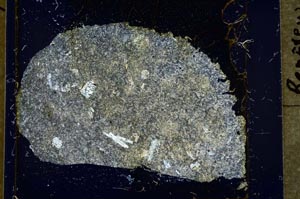 Cross Polarized, S37029