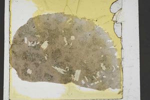 Plane Polarized, S37029