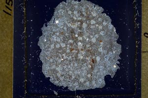 Cross Polarized, S37030