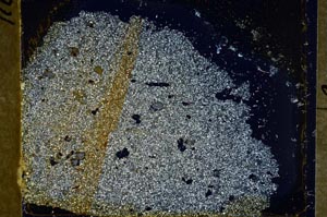 Cross Polarized, S37031