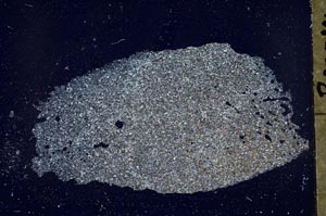 Cross Polarized, S37032