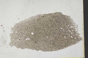 Plane Polarized, S37032