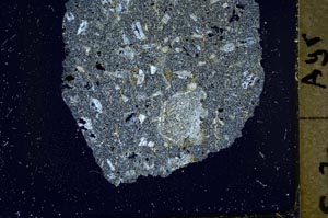 Cross Polarized, S37033